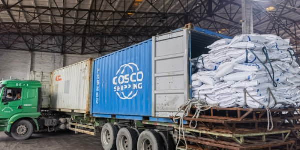 ?有机肥料可以走集装箱海运吗，，，需要注重什么？？