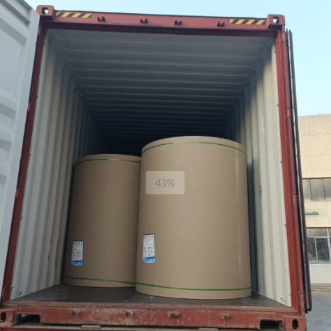 原木卷纸、纸张可以走集装箱海运吗，，需要注重什么？？