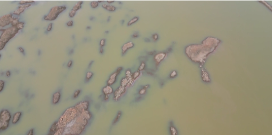 中国·y80000永利(集团)有限公司-官方网站